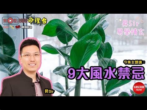 辦公室水種植物風水 怎樣看指南針